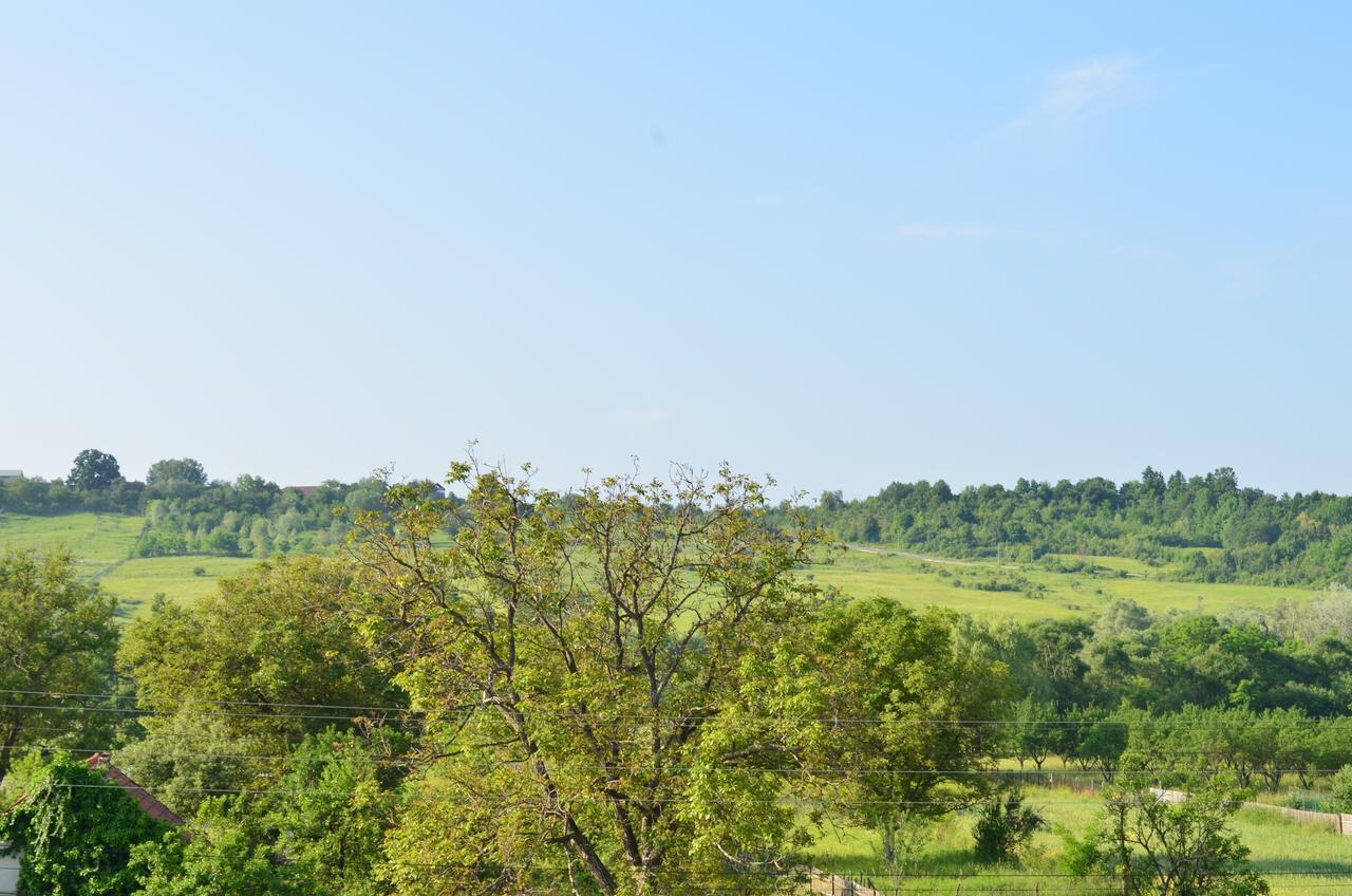 Pensiunea Koruna Villa Poenari Dış mekan fotoğraf