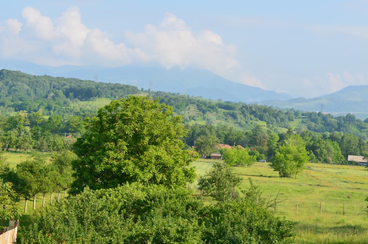 Pensiunea Koruna Villa Poenari Dış mekan fotoğraf