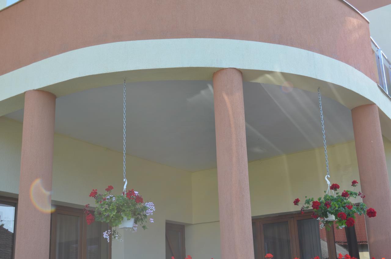Pensiunea Koruna Villa Poenari Dış mekan fotoğraf