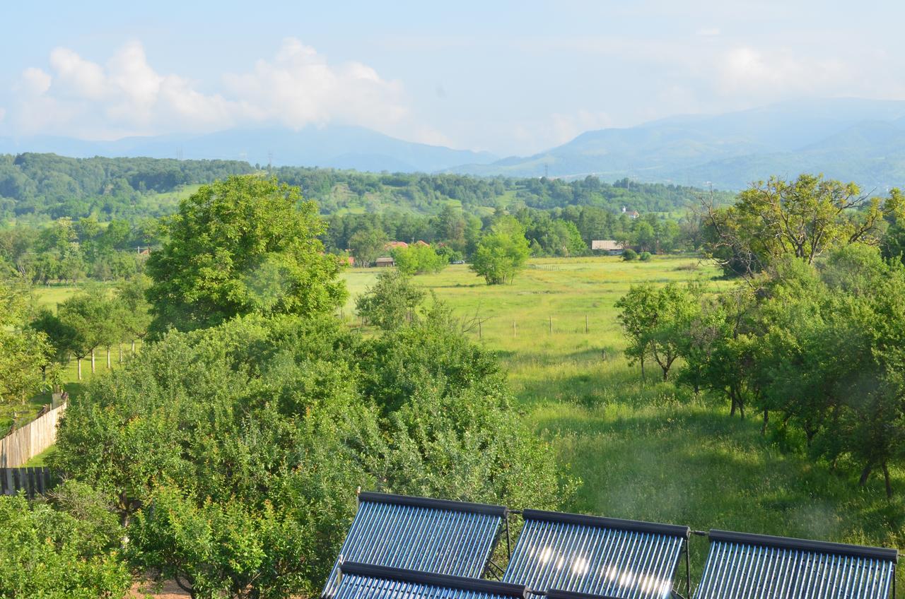 Pensiunea Koruna Villa Poenari Dış mekan fotoğraf