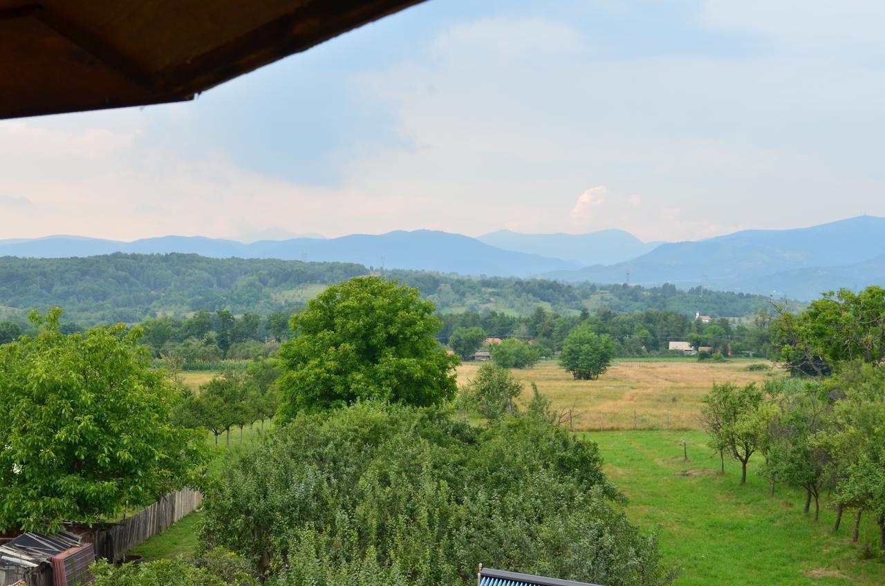 Pensiunea Koruna Villa Poenari Dış mekan fotoğraf