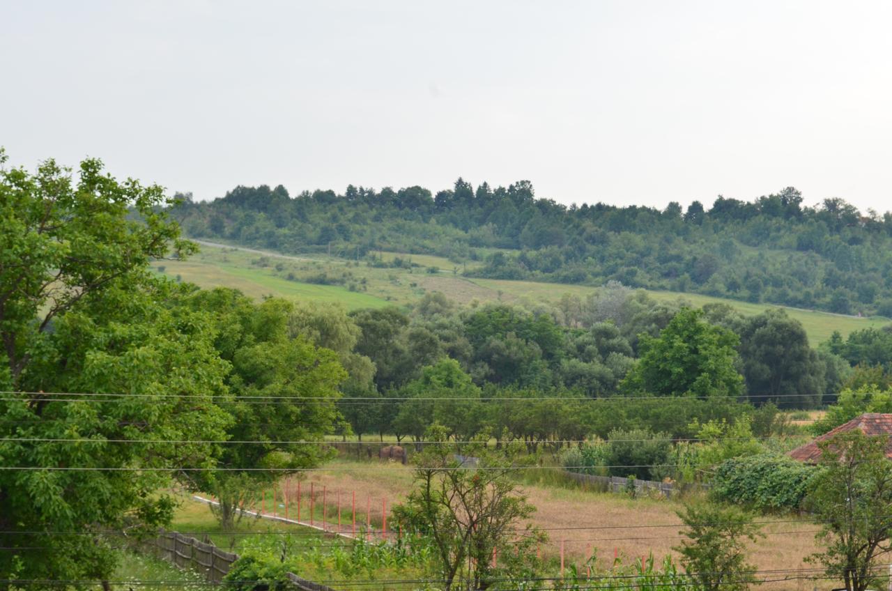 Pensiunea Koruna Villa Poenari Dış mekan fotoğraf